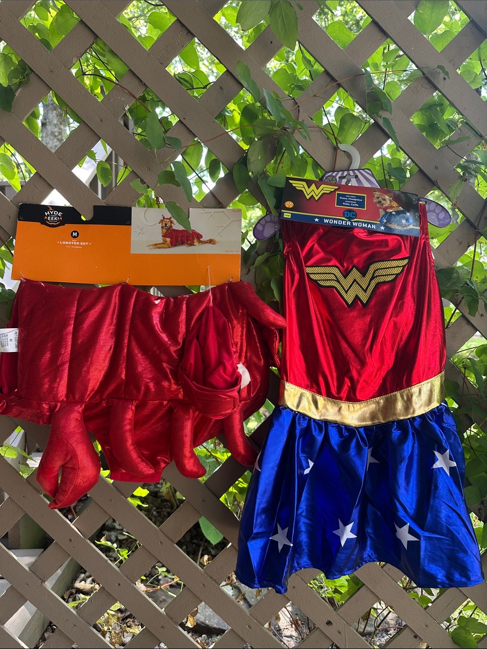 Wonder Woman and lobster doggy Costumes 🦞💥